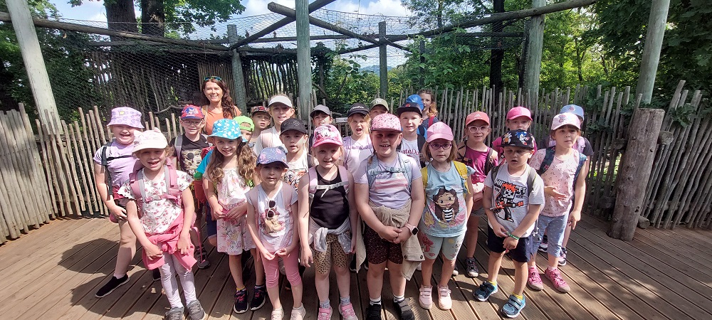 1a zoo lesna 6 2025