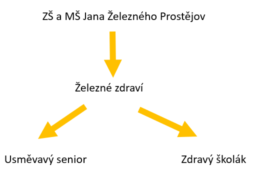 struktura zelezne zdravi